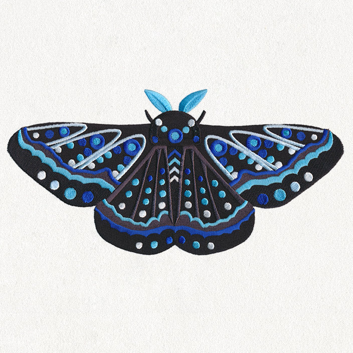 Animalia - Moth
