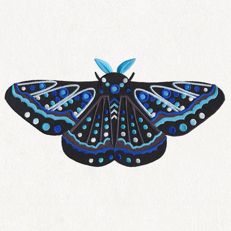 Animalia - Moth
