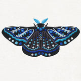 Animalia - Moth