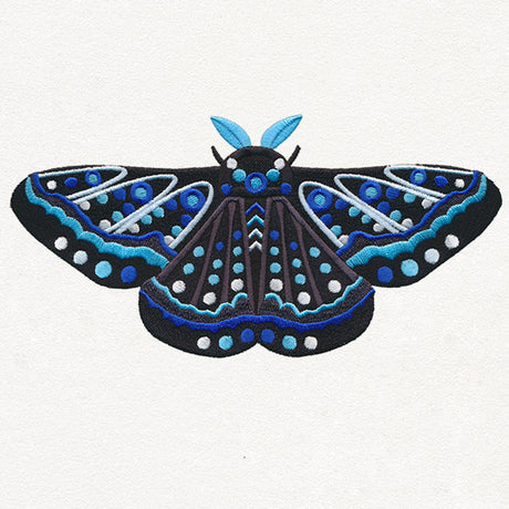 Animalia - Moth