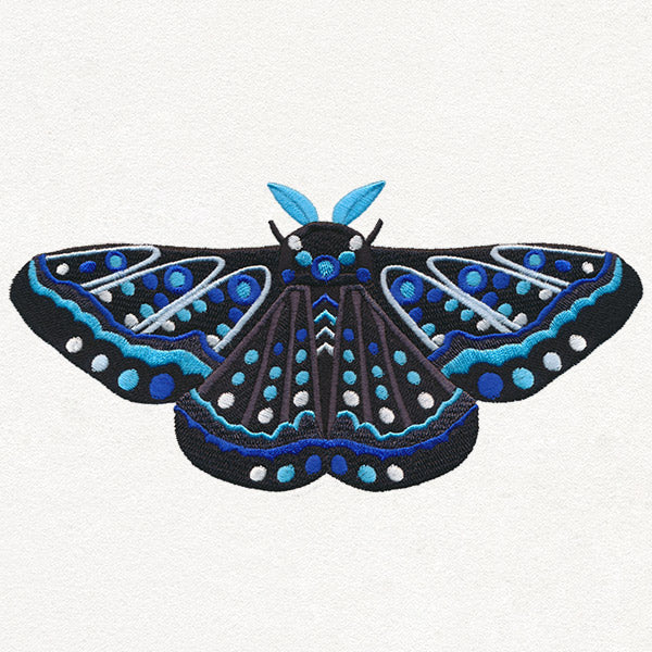 Animalia - Moth