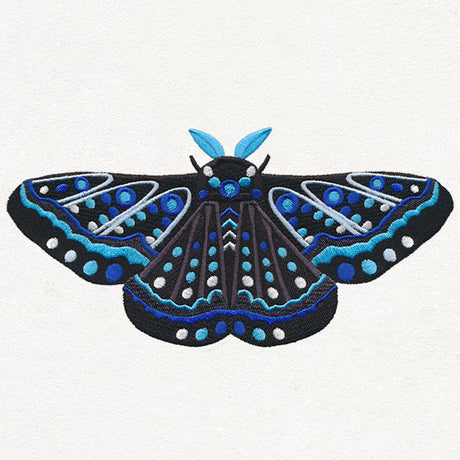 Animalia - Moth