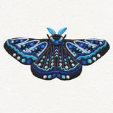 Animalia - Moth