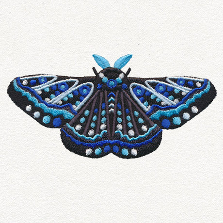 Animalia - Moth