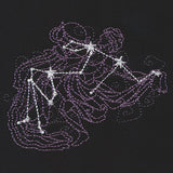 Ecliptic Constellations - Aquarius