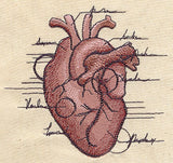 Anatomical Heart