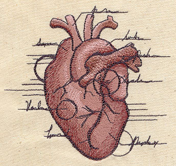 Anatomical Heart