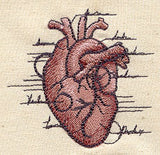 Anatomical Heart