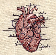 Anatomical Heart