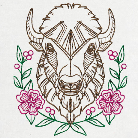 Beautiful Bison