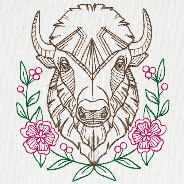 Beautiful Bison