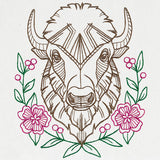 Beautiful Bison