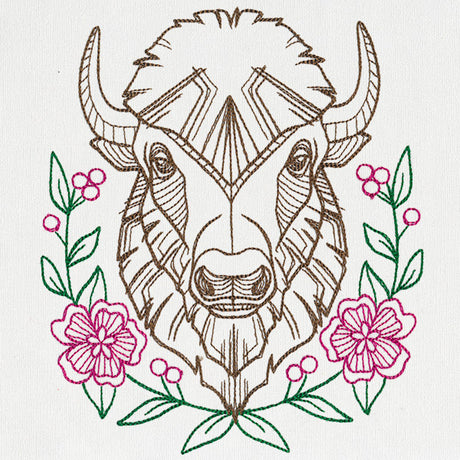 Beautiful Bison