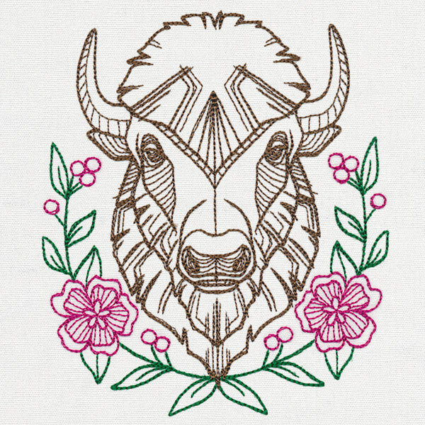 Beautiful Bison