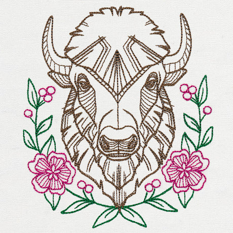 Beautiful Bison