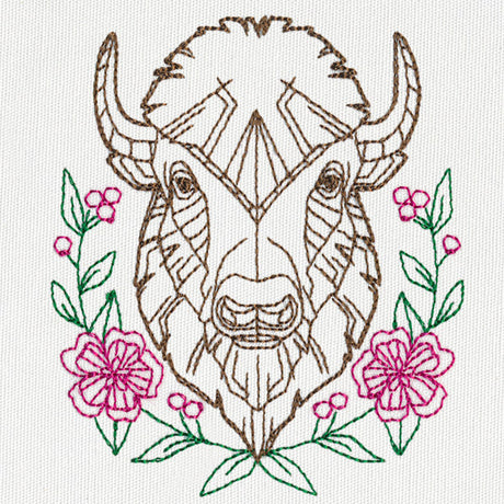 Beautiful Bison