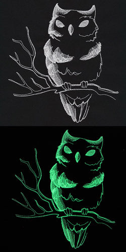 Halloween Glow - Owl