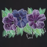 Nocturnal Blooms