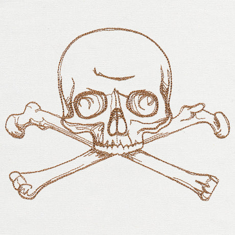 The Laboratory - Delicate Skull