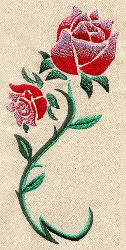 Coming Up Roses
