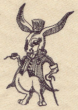 Fancy Rabbit