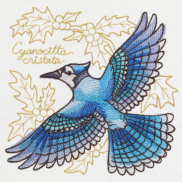 Yuletide Medley - Painted Blue Jay