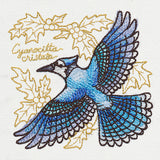 Yuletide Medley - Painted Blue Jay