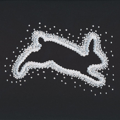Pointed Rabbit