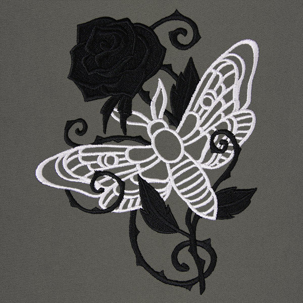 Mysterious Moth