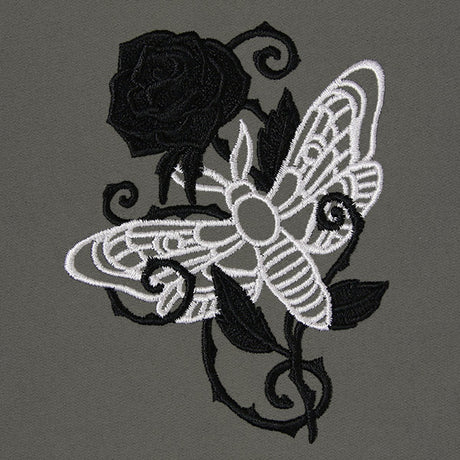 Mysterious Moth