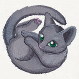 Curled Up Kitty