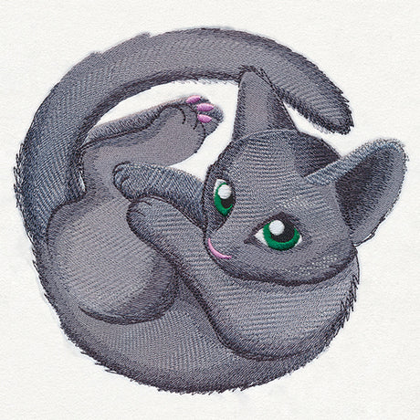 Curled Up Kitty