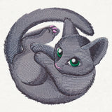 Curled Up Kitty