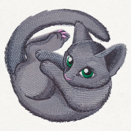 Curled Up Kitty
