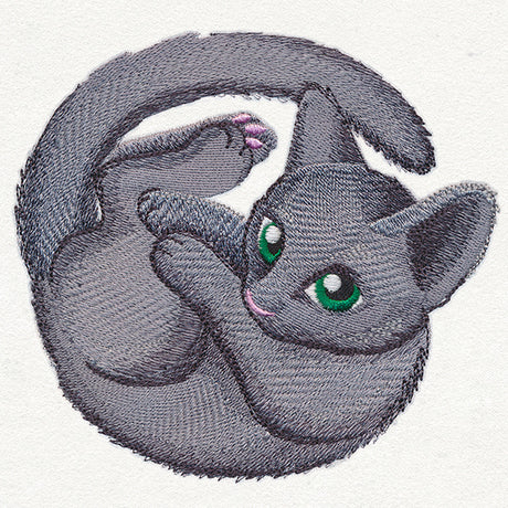 Curled Up Kitty