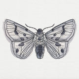 Ink & Wash - Moth