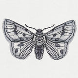 Ink & Wash - Moth