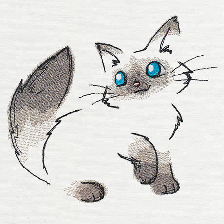 Fluffy Kitty