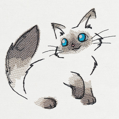 Fluffy Kitty