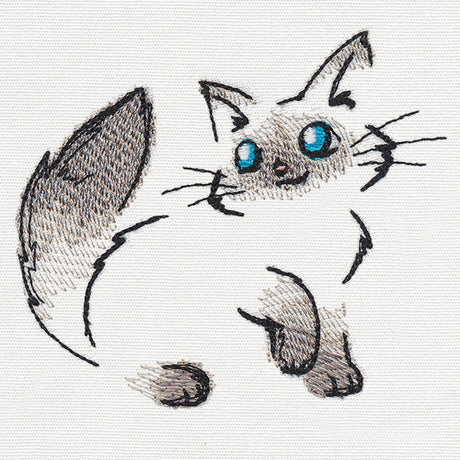Fluffy Kitty