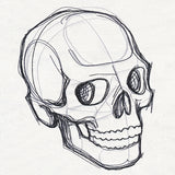 Sketchwork - Skull