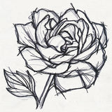 Sketchwork - Bloom