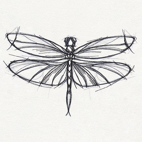 Sketchwork - Dragonfly