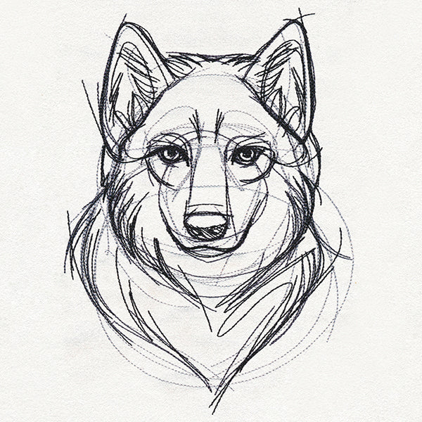 Sketchwork - Wolf