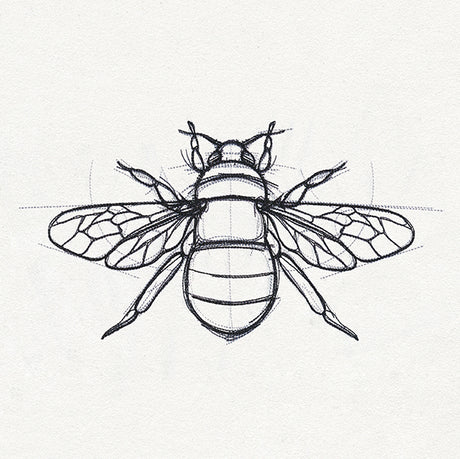 Sketchwork - Bee