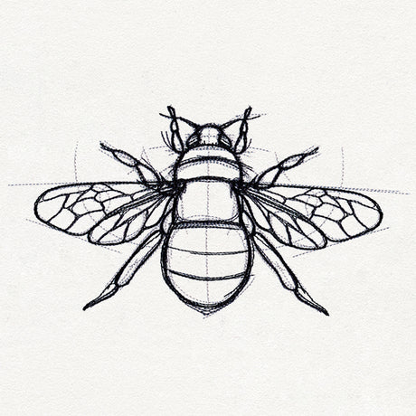 Sketchwork - Bee