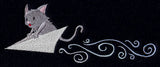 Kitten in Flight