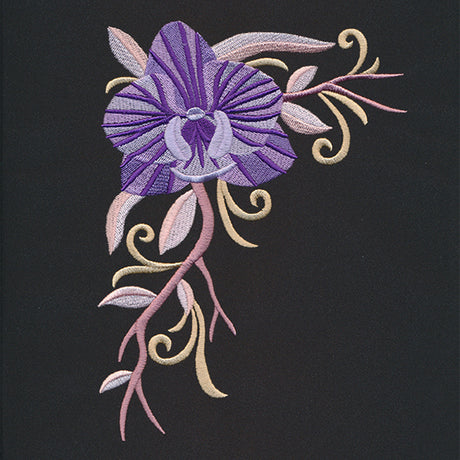 Boutique Blooms - Orchid Corner