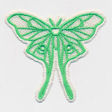 Luna Moth (Lace)
