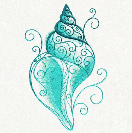 Aqua Marine - Shell